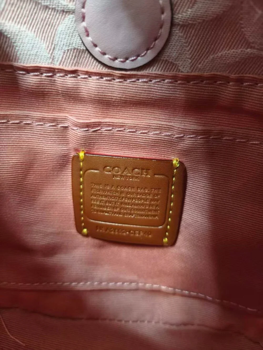 Coach feminine mini